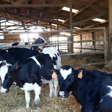 Charmante Maison A La Ferme Valderies Zewnętrze zdjęcie