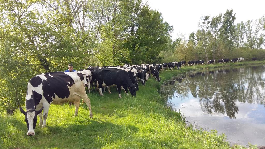 Charmante Maison A La Ferme Valderies Zewnętrze zdjęcie