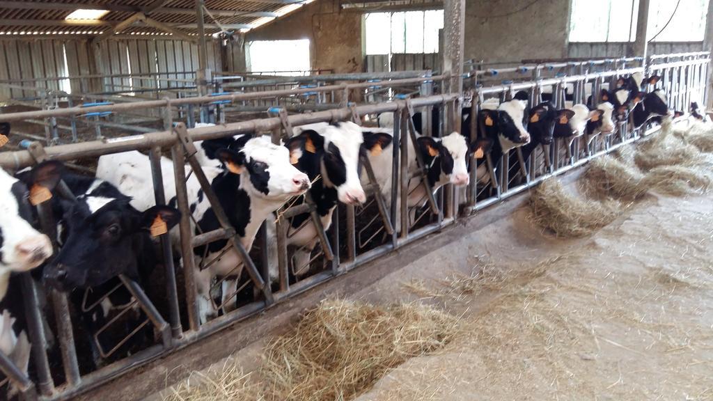 Charmante Maison A La Ferme Valderies Zewnętrze zdjęcie