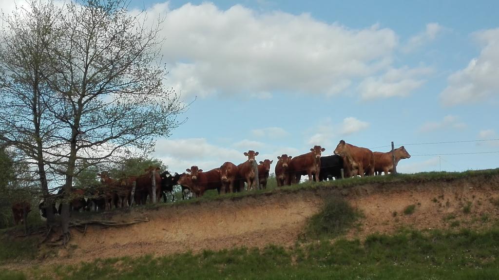 Charmante Maison A La Ferme Valderies Zewnętrze zdjęcie