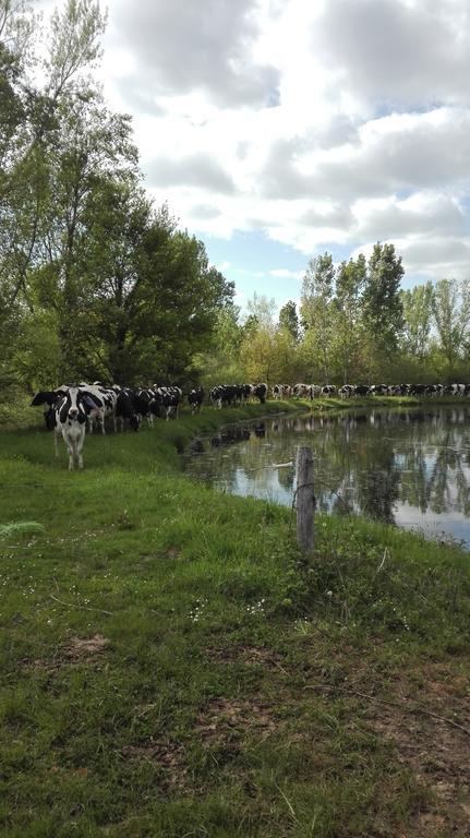 Charmante Maison A La Ferme Valderies Zewnętrze zdjęcie