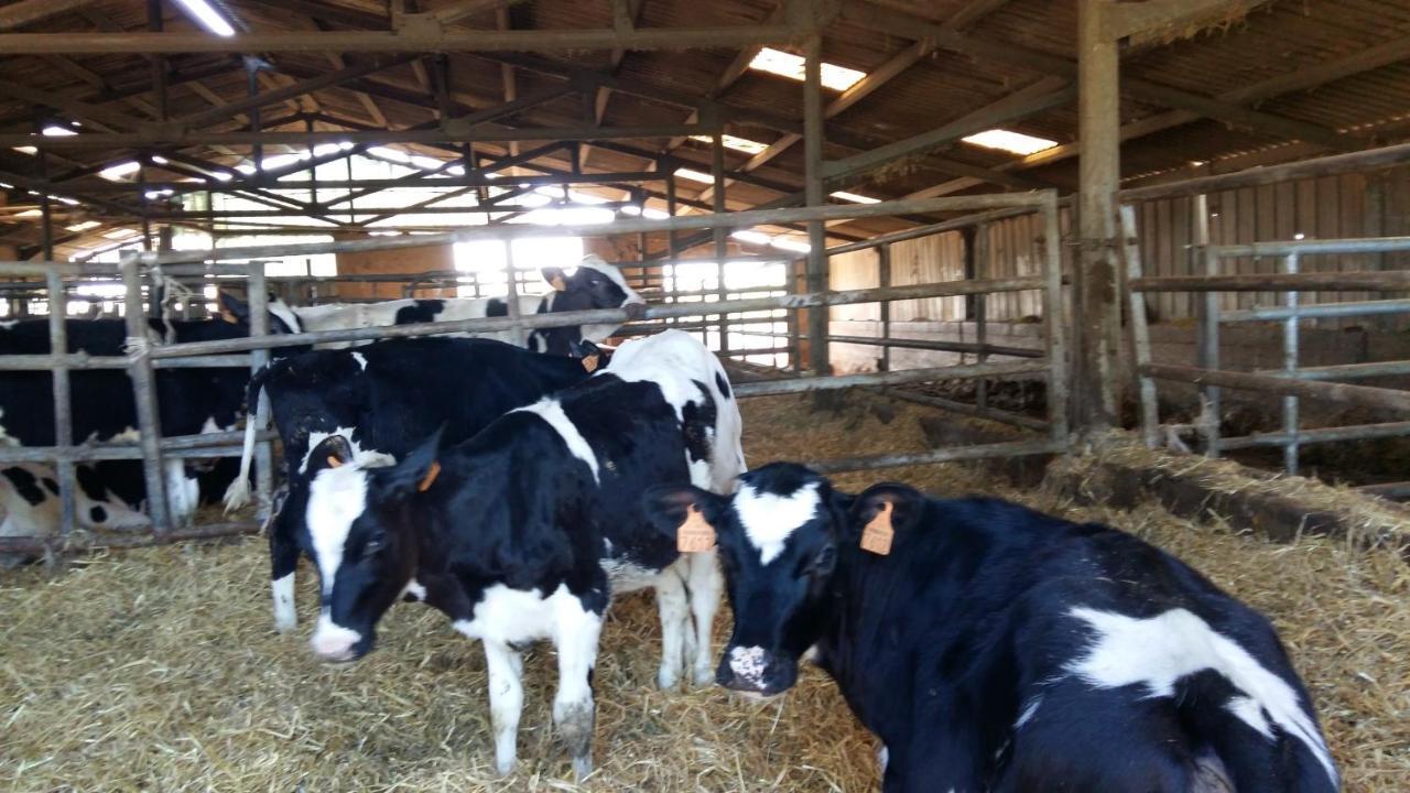 Charmante Maison A La Ferme Valderies Zewnętrze zdjęcie