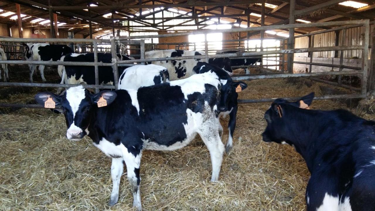 Charmante Maison A La Ferme Valderies Zewnętrze zdjęcie